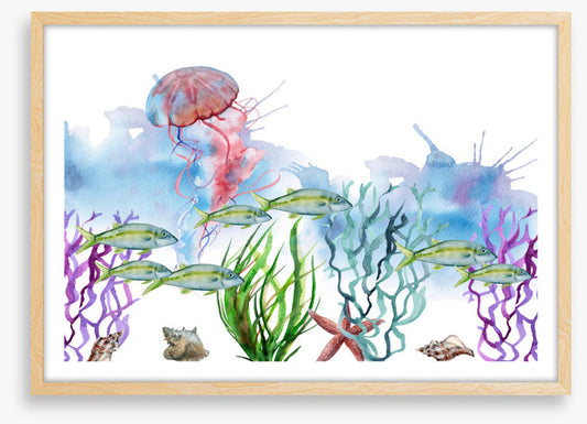Seaweed shoal