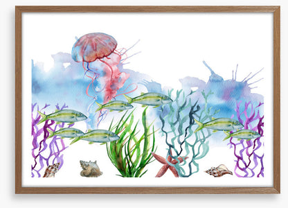 Seaweed shoal