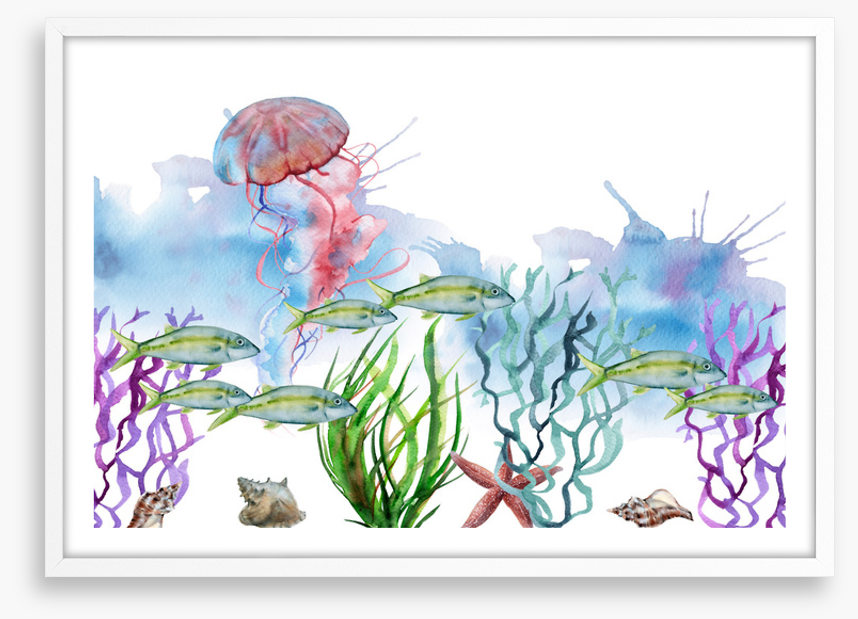 Seaweed shoal
