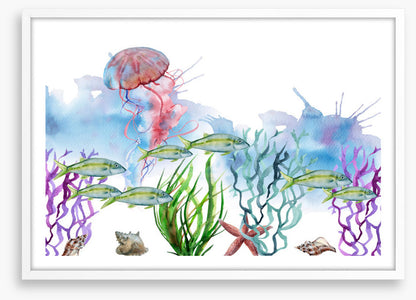 Seaweed shoal