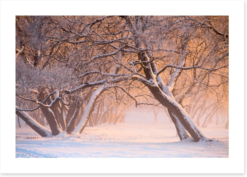 Leaning into winter