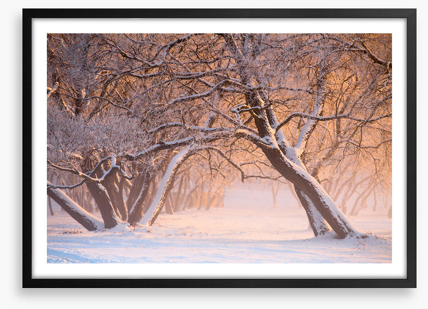 Leaning into winter