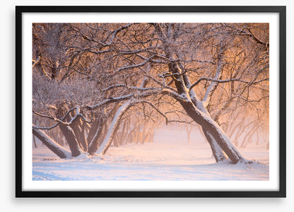 Leaning into winter
