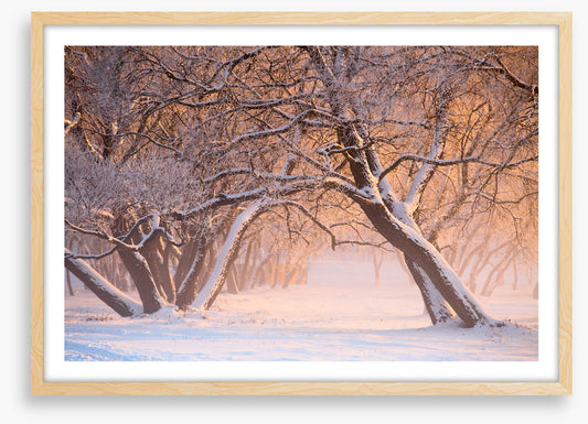 Leaning into winter