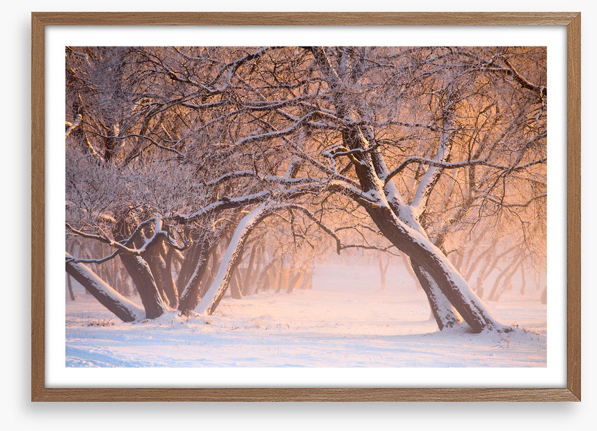 Leaning into winter