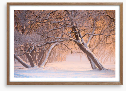 Leaning into winter