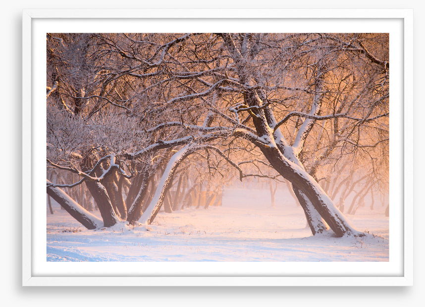 Leaning into winter