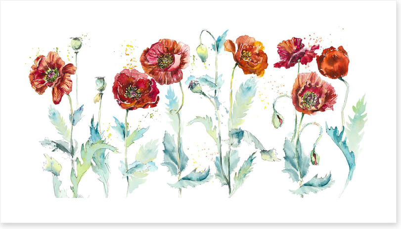 Seven poppies