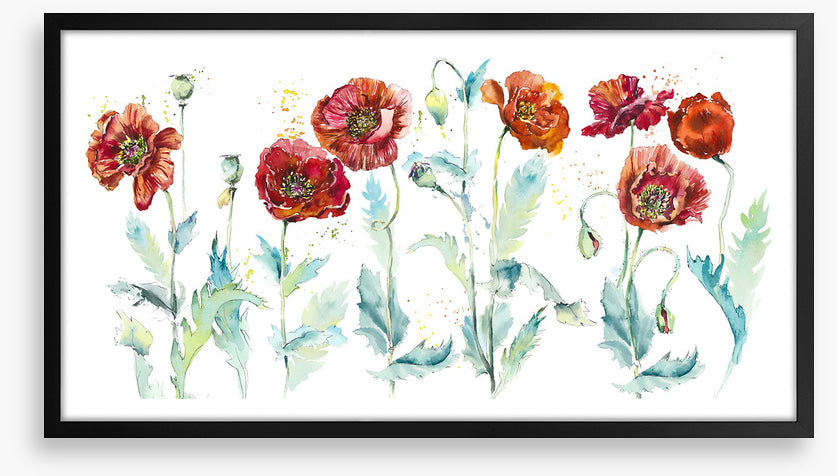 Seven poppies