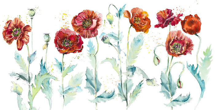 Seven poppies