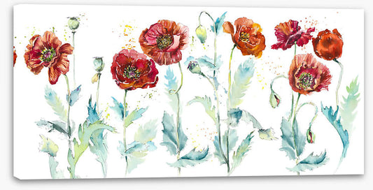 Seven poppies