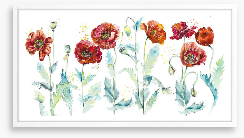 Seven poppies