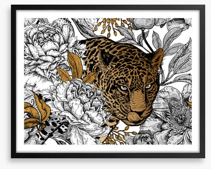 The leopard garden