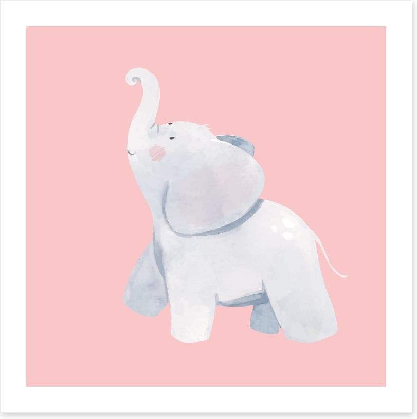 Elephants