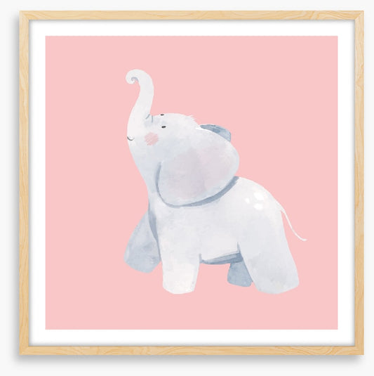 Elephants