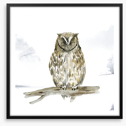 Sleepy in the snow