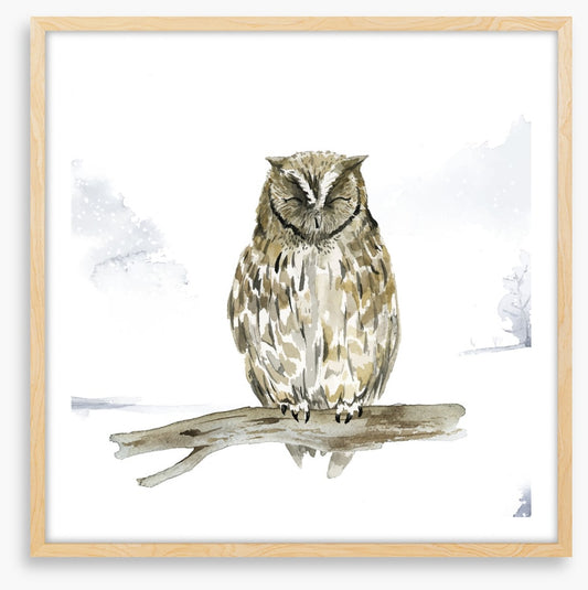 Sleepy in the snow