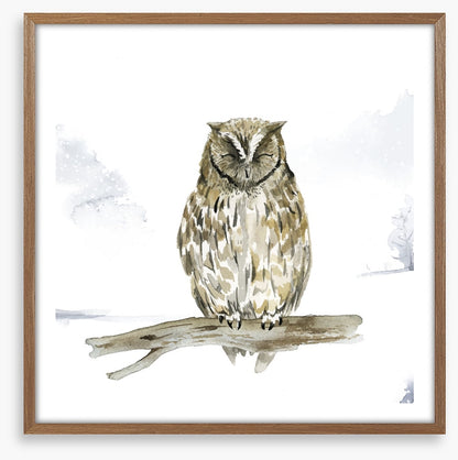 Sleepy in the snow
