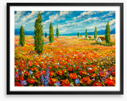 Poppy meadow poplars