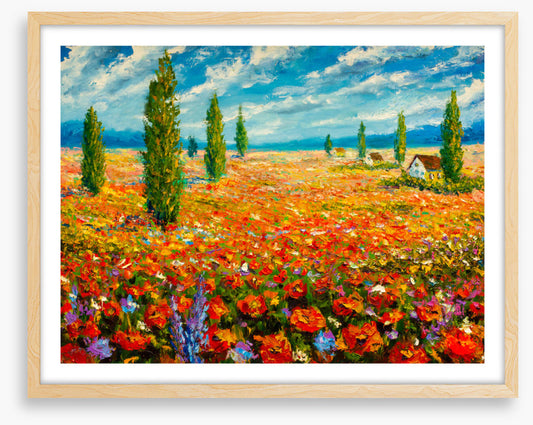 Poppy meadow poplars