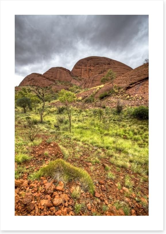 Outback