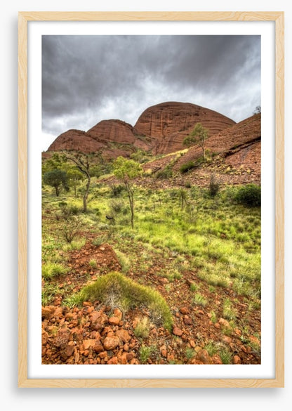Outback