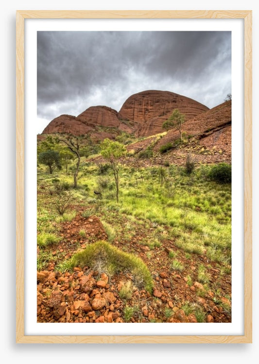 Outback