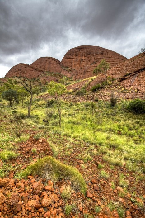 Outback