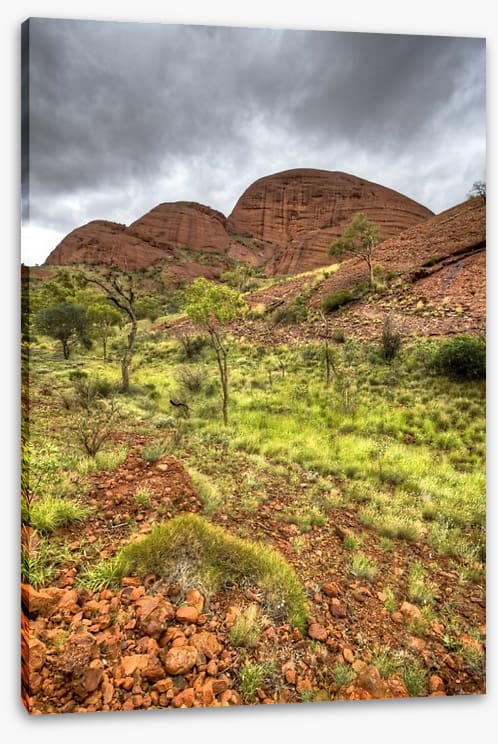 Outback