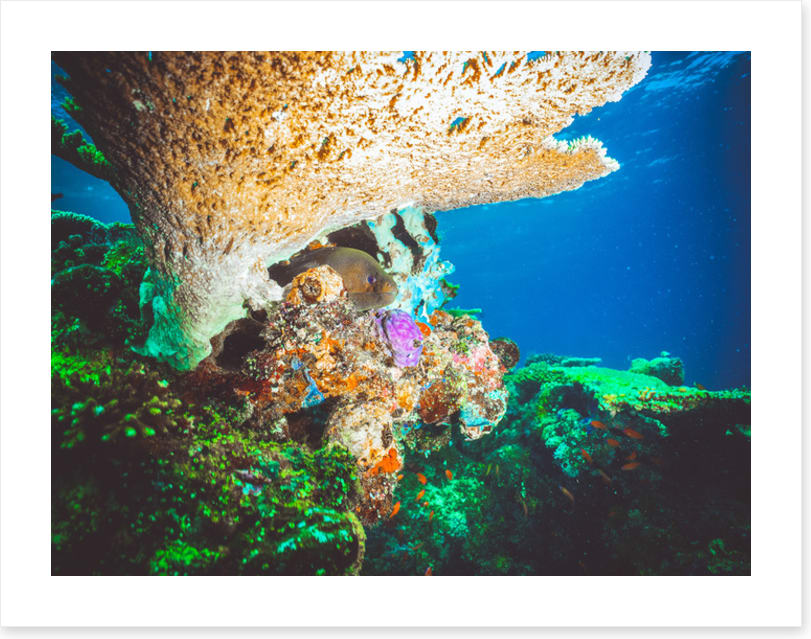 Underwater