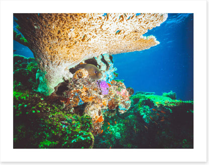 Underwater
