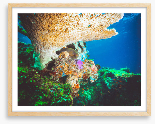 Underwater