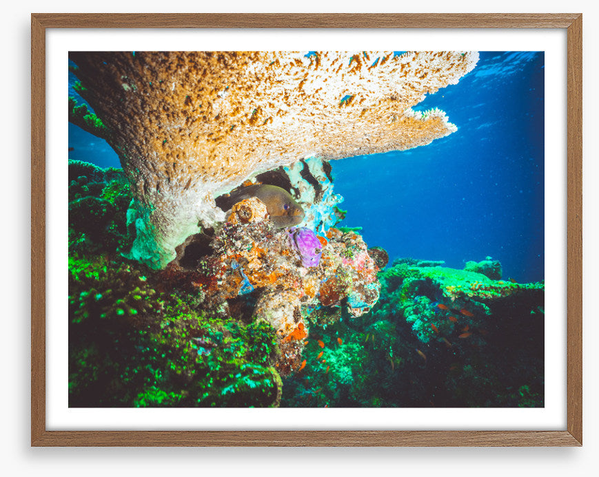 Underwater