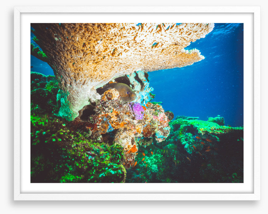Underwater