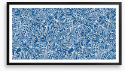 Calm in the coral