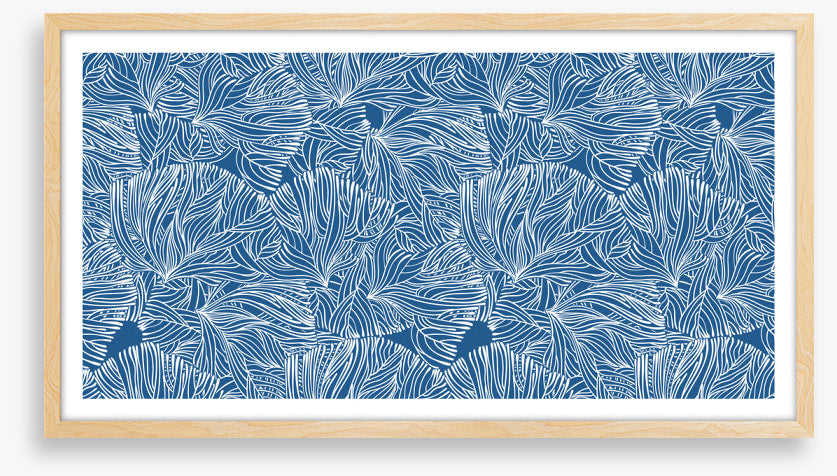 Calm in the coral