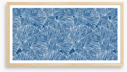 Calm in the coral