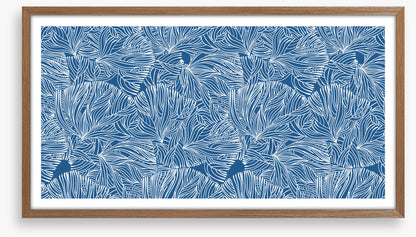 Calm in the coral