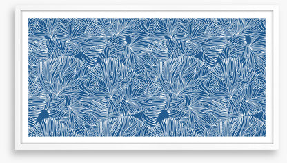 Calm in the coral