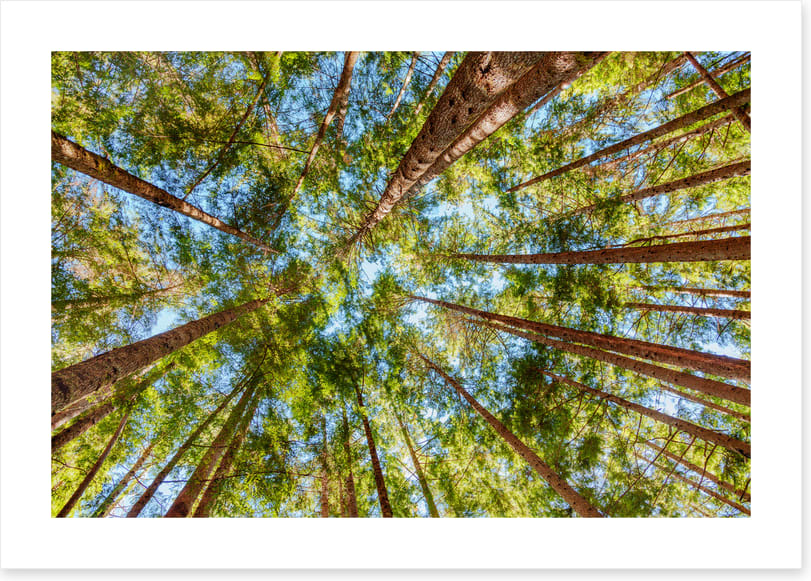 Straight to the sky