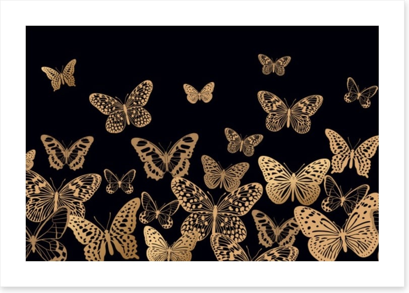 Fly by night
