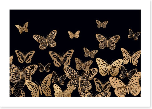 Fly by night
