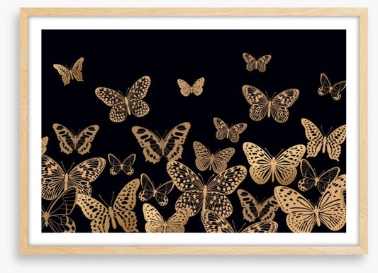 Fly by night