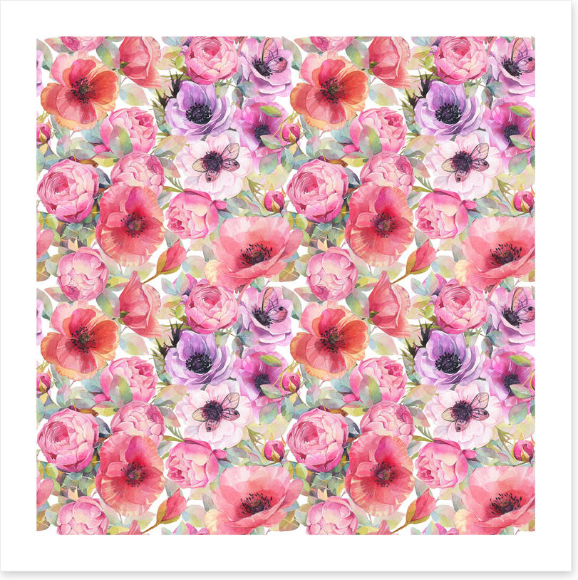 Rosy poppies