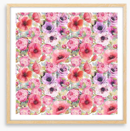 Rosy poppies