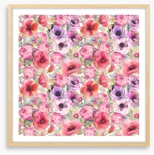 Rosy poppies