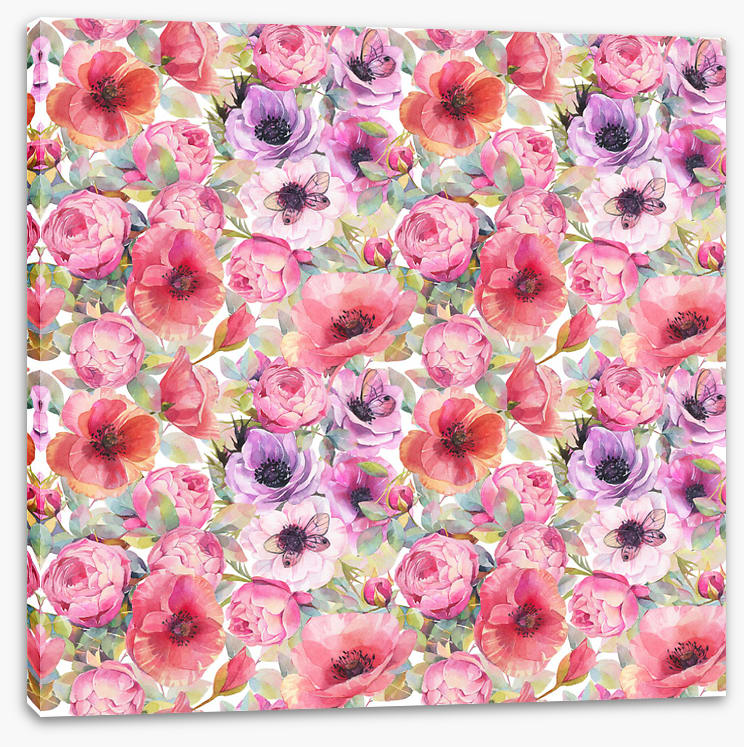 Rosy poppies