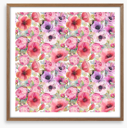 Rosy poppies