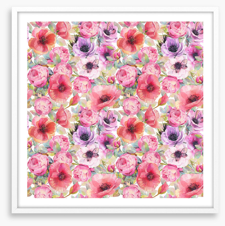 Rosy poppies