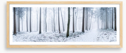 Snowy forest panorama